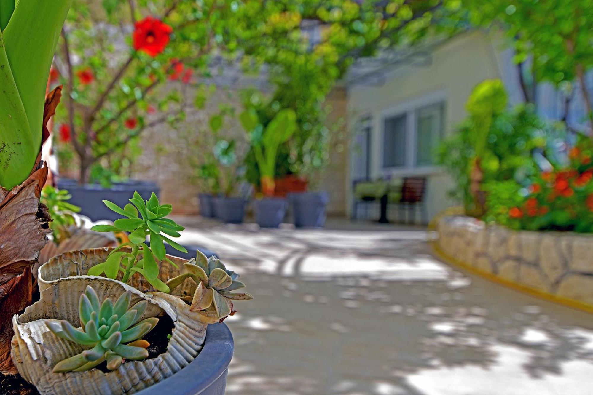Apartments Micic Хвар Экстерьер фото